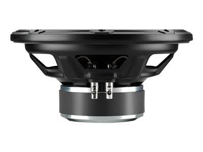 10 Inch 2 Ohm Car Subwoofer Q9838