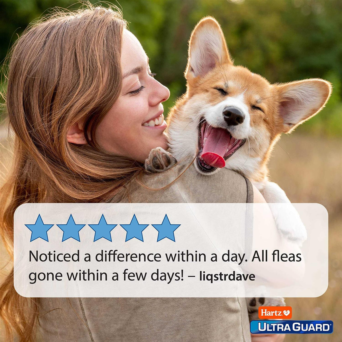 Flea & Tick Spray for Dogs L303403