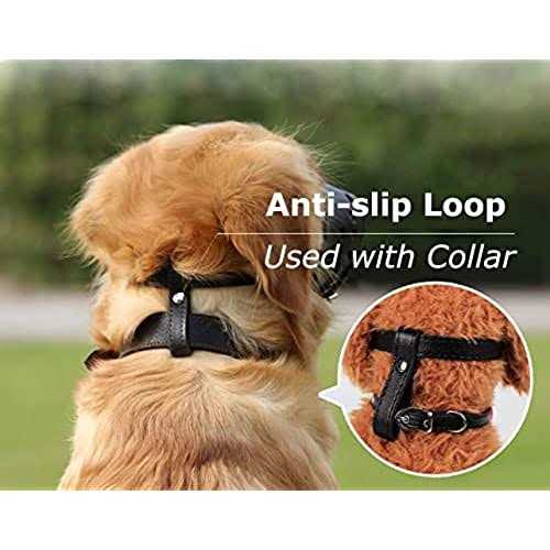 Leather Dog Muzzle J28565