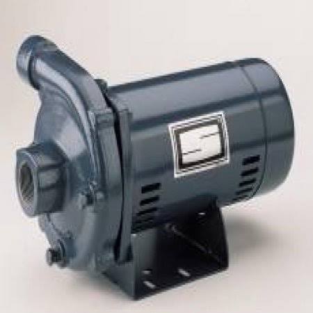 Cast Iron Centrifugal Pump and Motor Assembly, 1 HP C3075