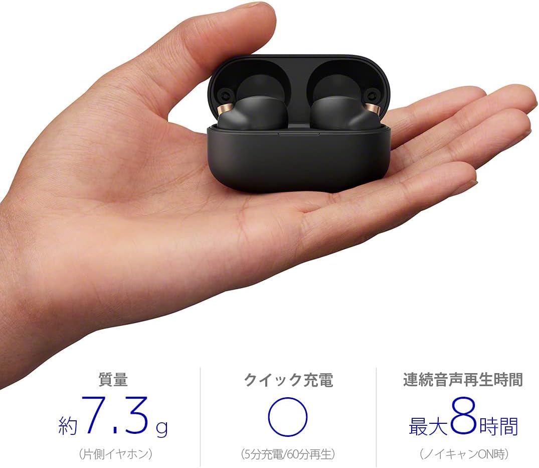 Black/Copper Truly Wireless Noise Cancelling Headphone U669