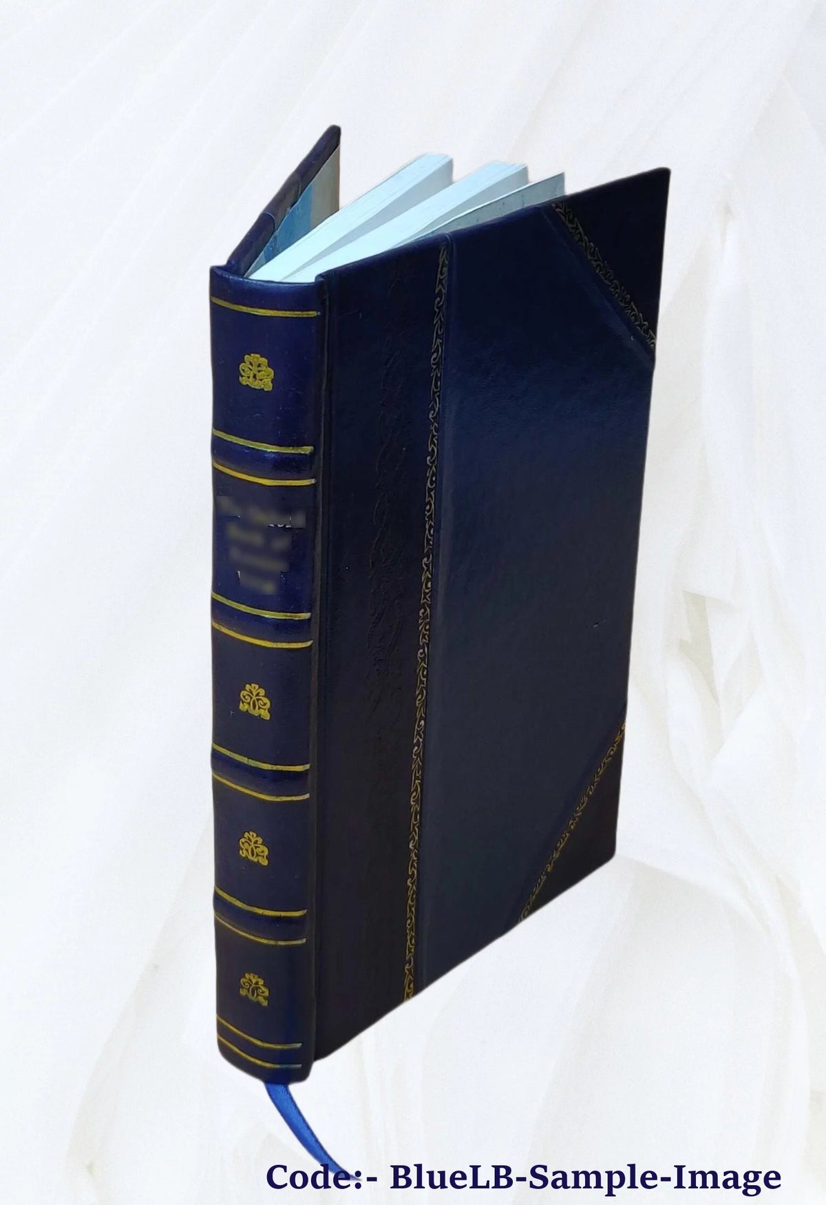 Leather Book T296643