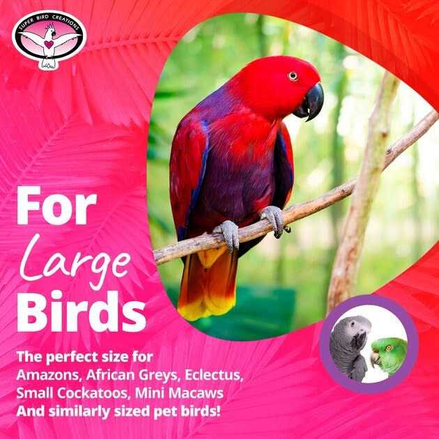 Bagel Cascade Bird Toy H938905