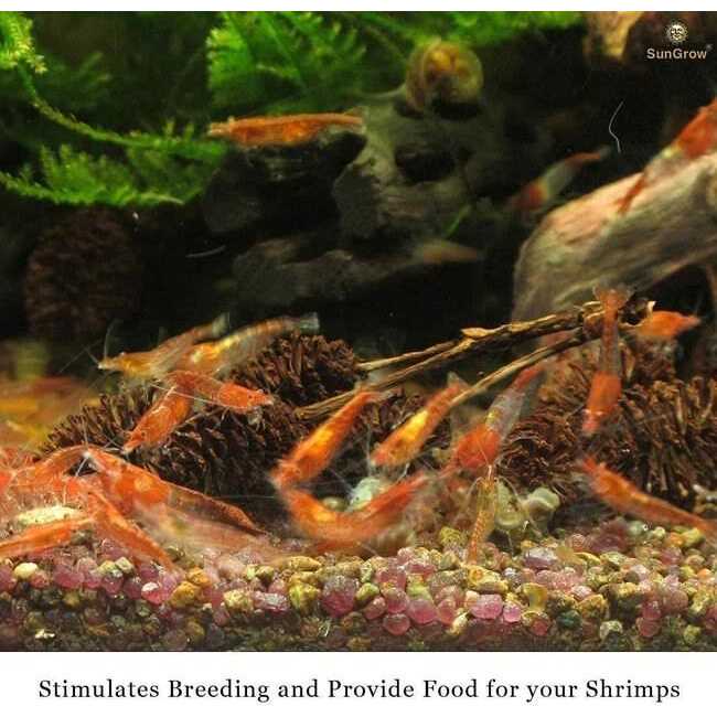 Alder Cones Aquarium Water Conditioner & Food V610861