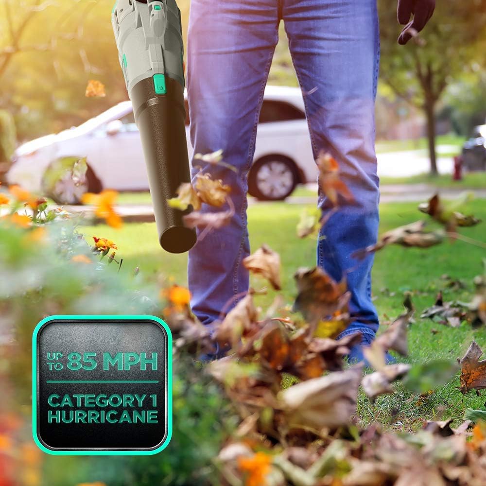 20V Cordless Leaf Blower with 4.0Ah Battery & Charger C232