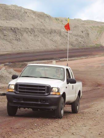 Warning Whip, 10 Ft, Flag T23739