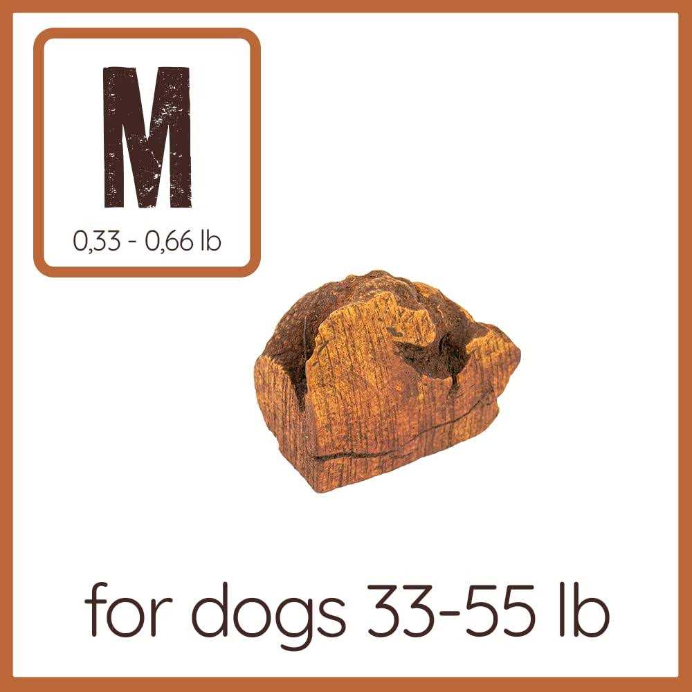 Chew Root for Dogs C315380