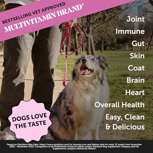 Peanut Butter 90 ct Dog Supplement Y6169
