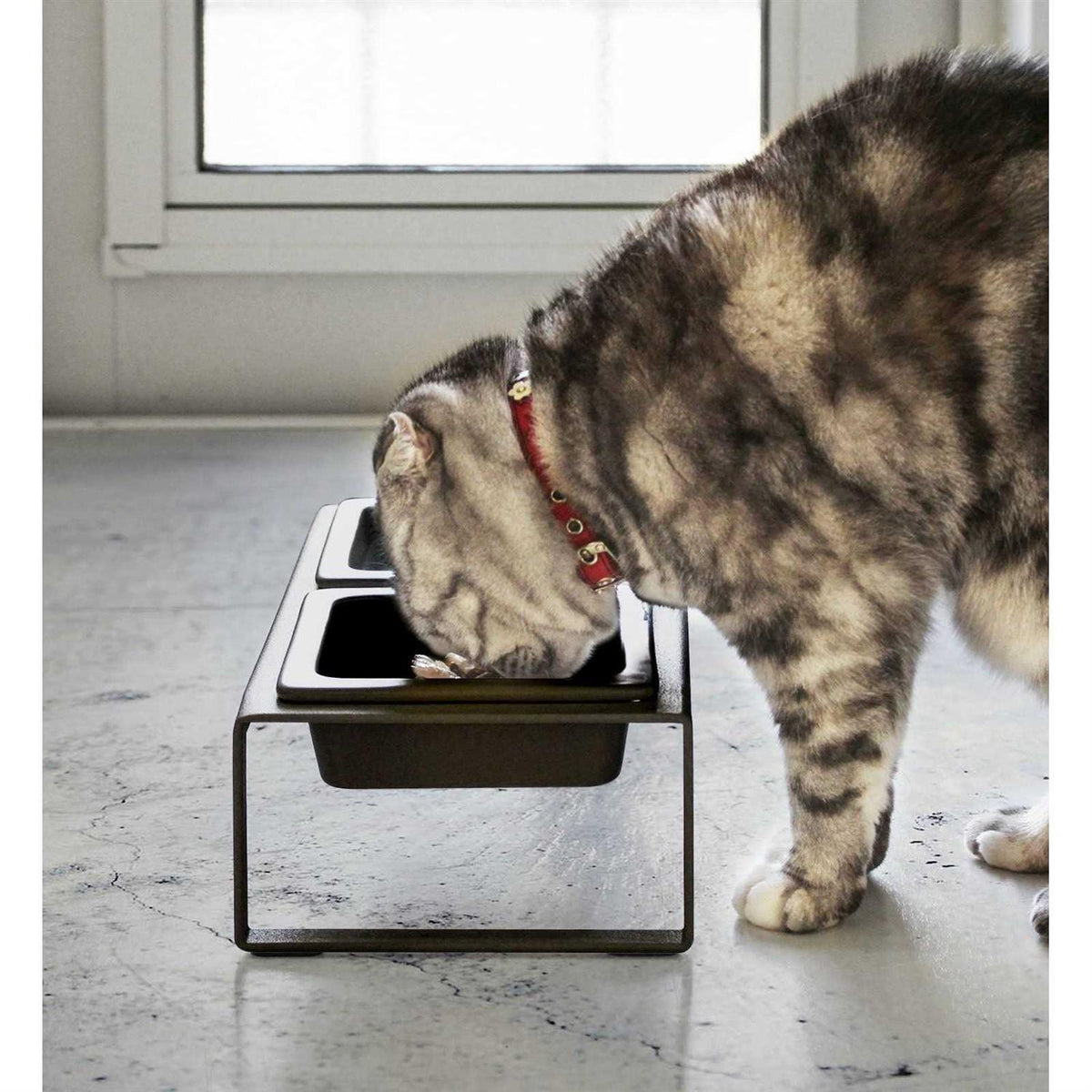 Pet Food Bowl O836940