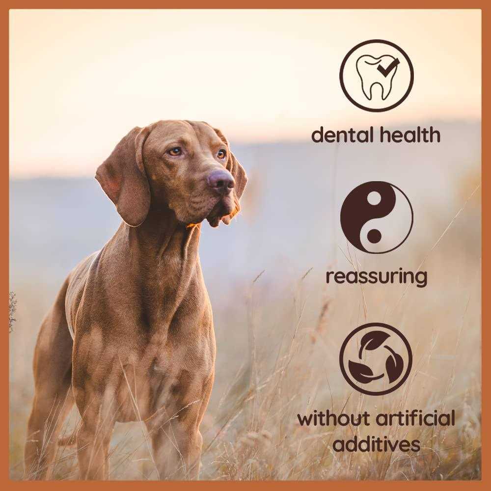 Chew Root for Dogs C315380