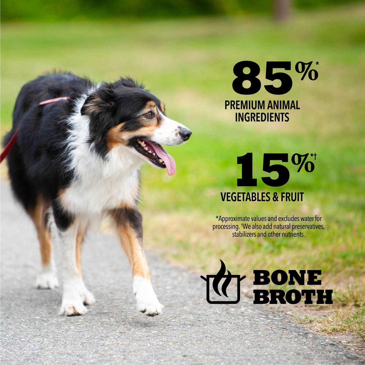 Beef Recipe Dog Food in Bone Broth C8338