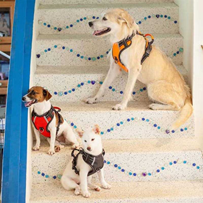 Adjustable Reflective Oxford Dog Harness with 5ft Dog Leash G344