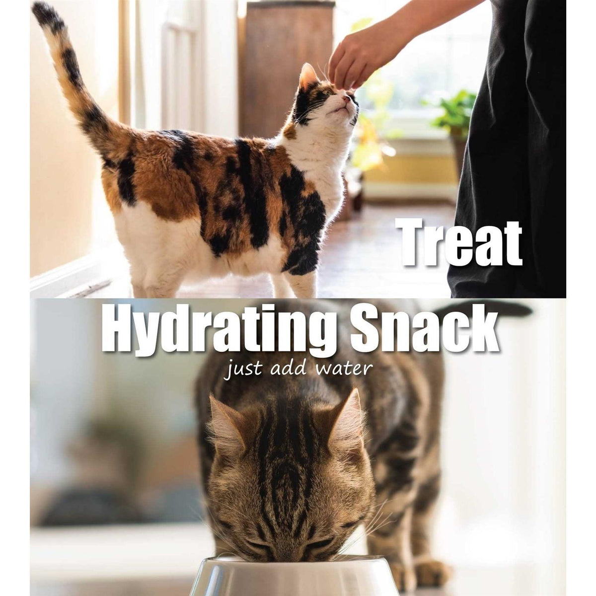 Freeze-Dried Chicken Cat Treats S796753