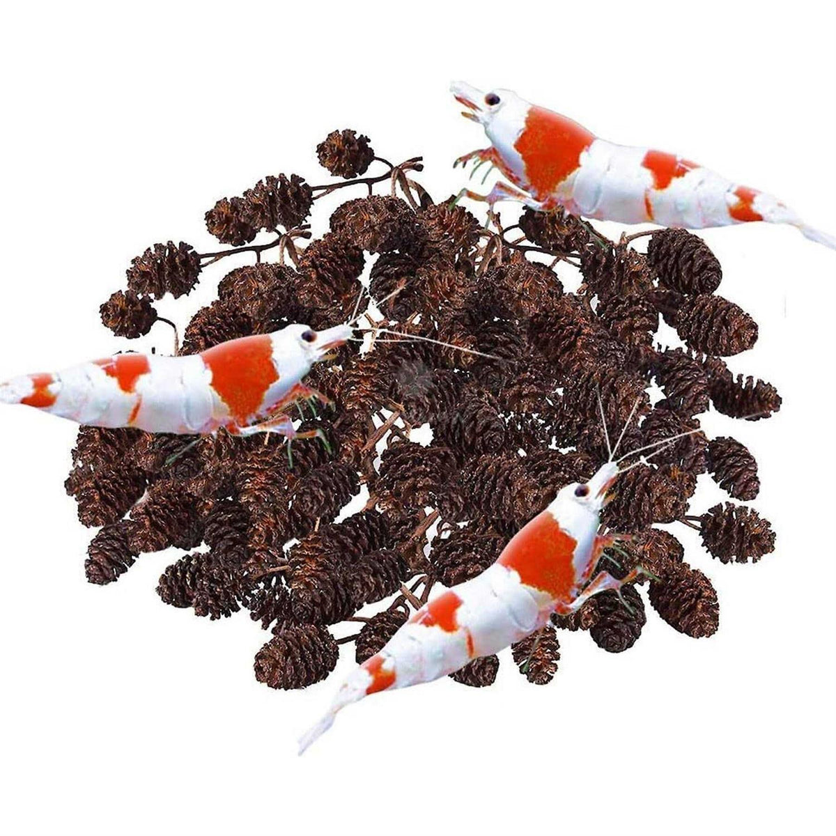 Alder Cones Aquarium Water Conditioner & Food V610861