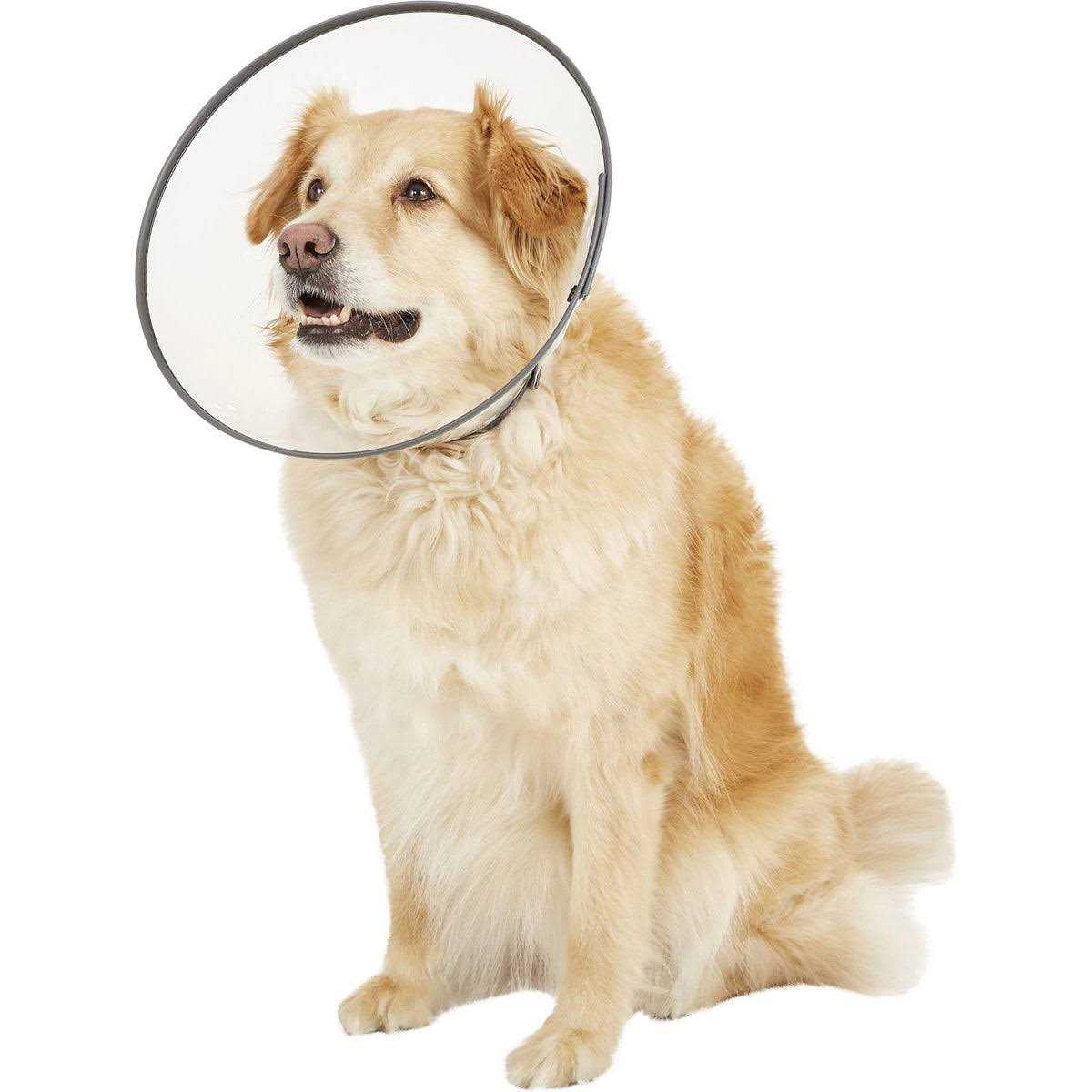 Rigid E-Collar Medium Z96153