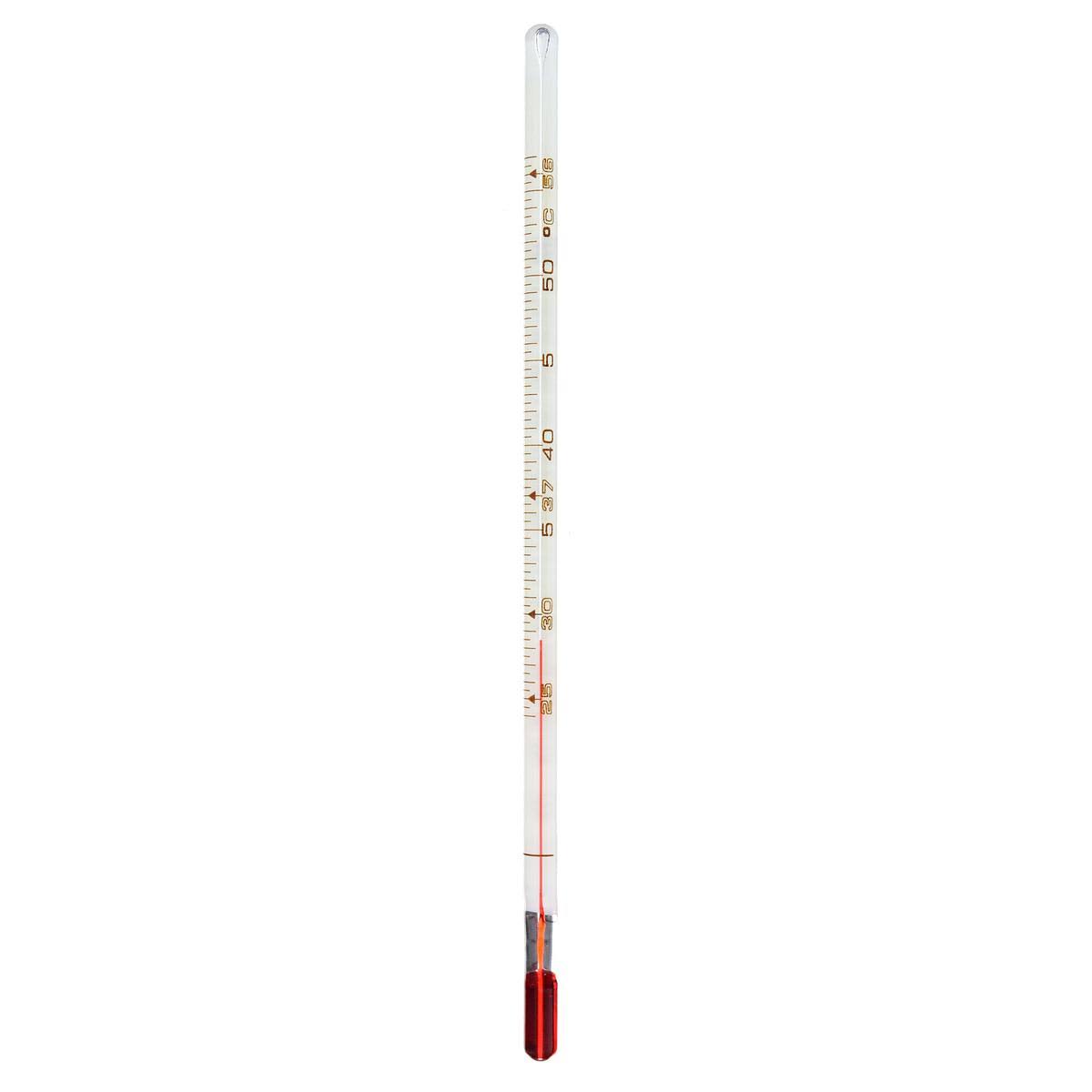 Liquid in Glass Thermometer P767252