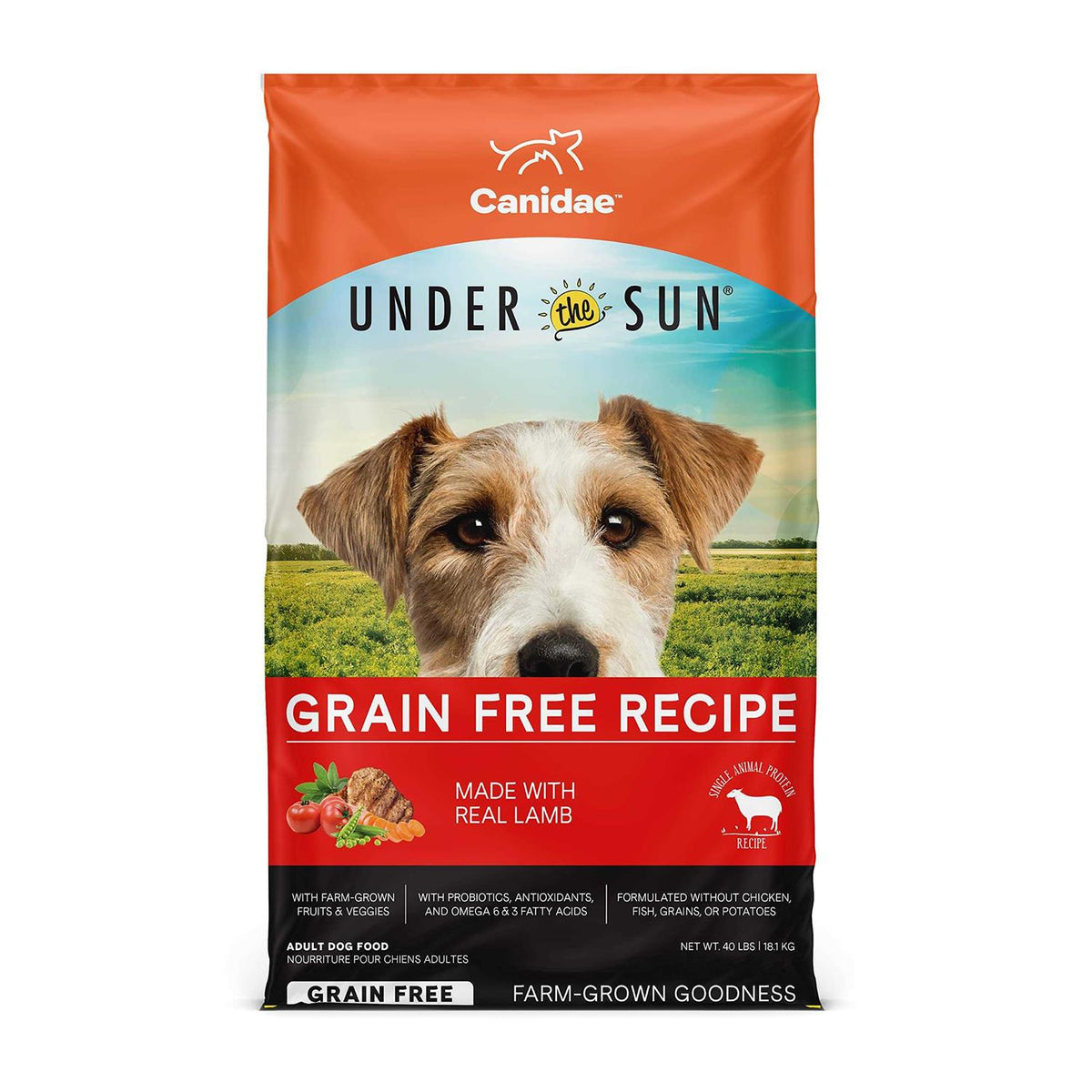 Grain Free Lamb Dry Dog Food R22287