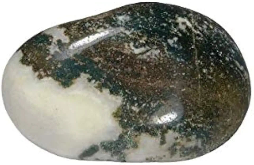 Tree Agate Semi Precious Gemstone 133.2ct C22650