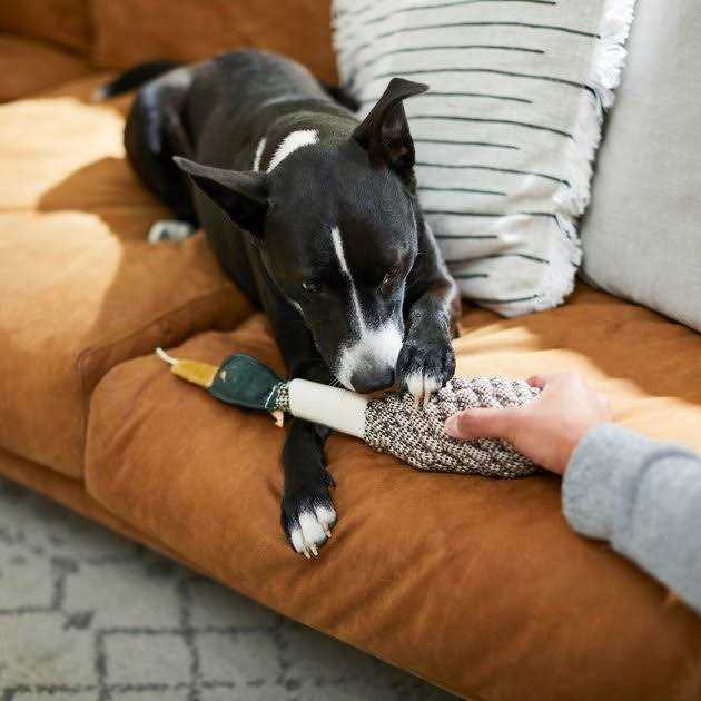 Rope Duck Crinkle Dog Toy G58783