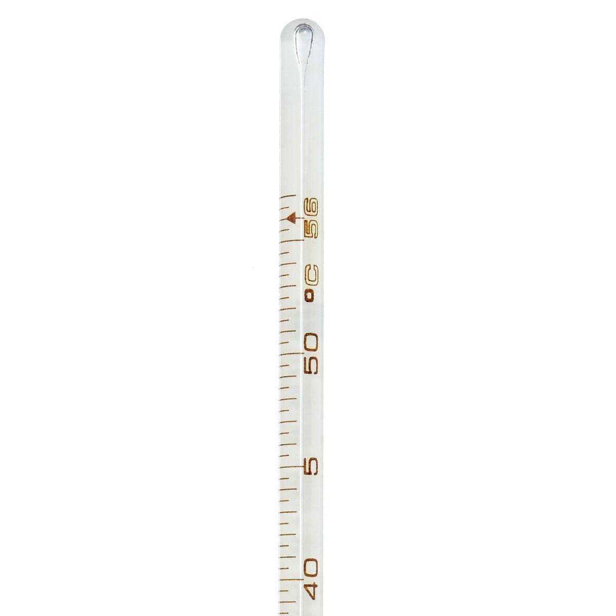 Liquid in Glass Thermometer P767252