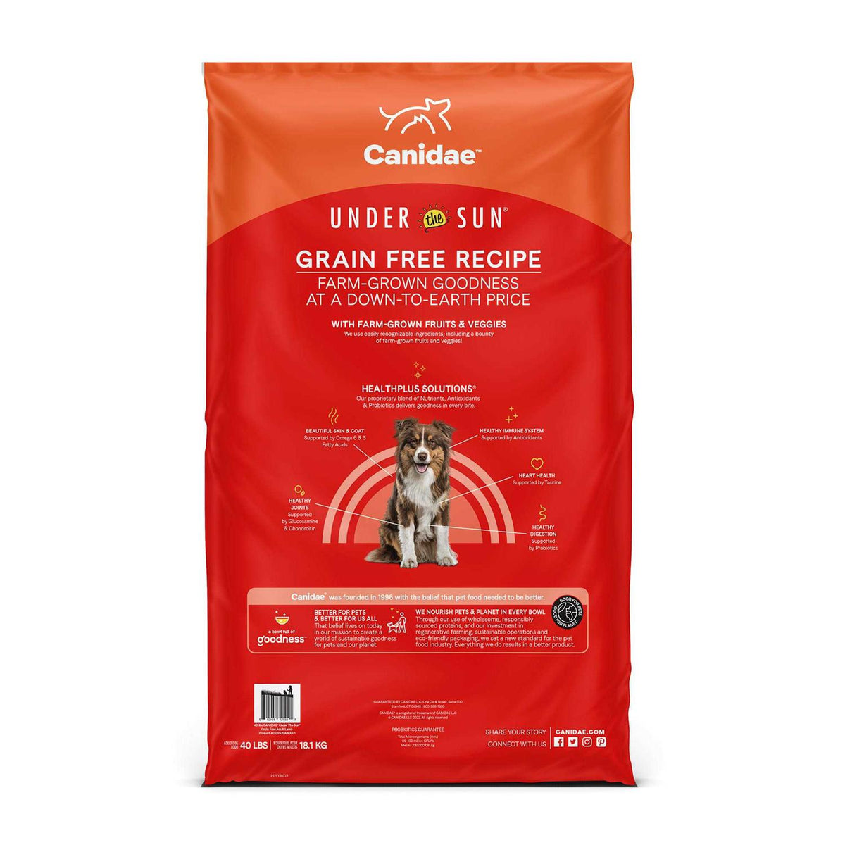 Grain Free Lamb Dry Dog Food R22287