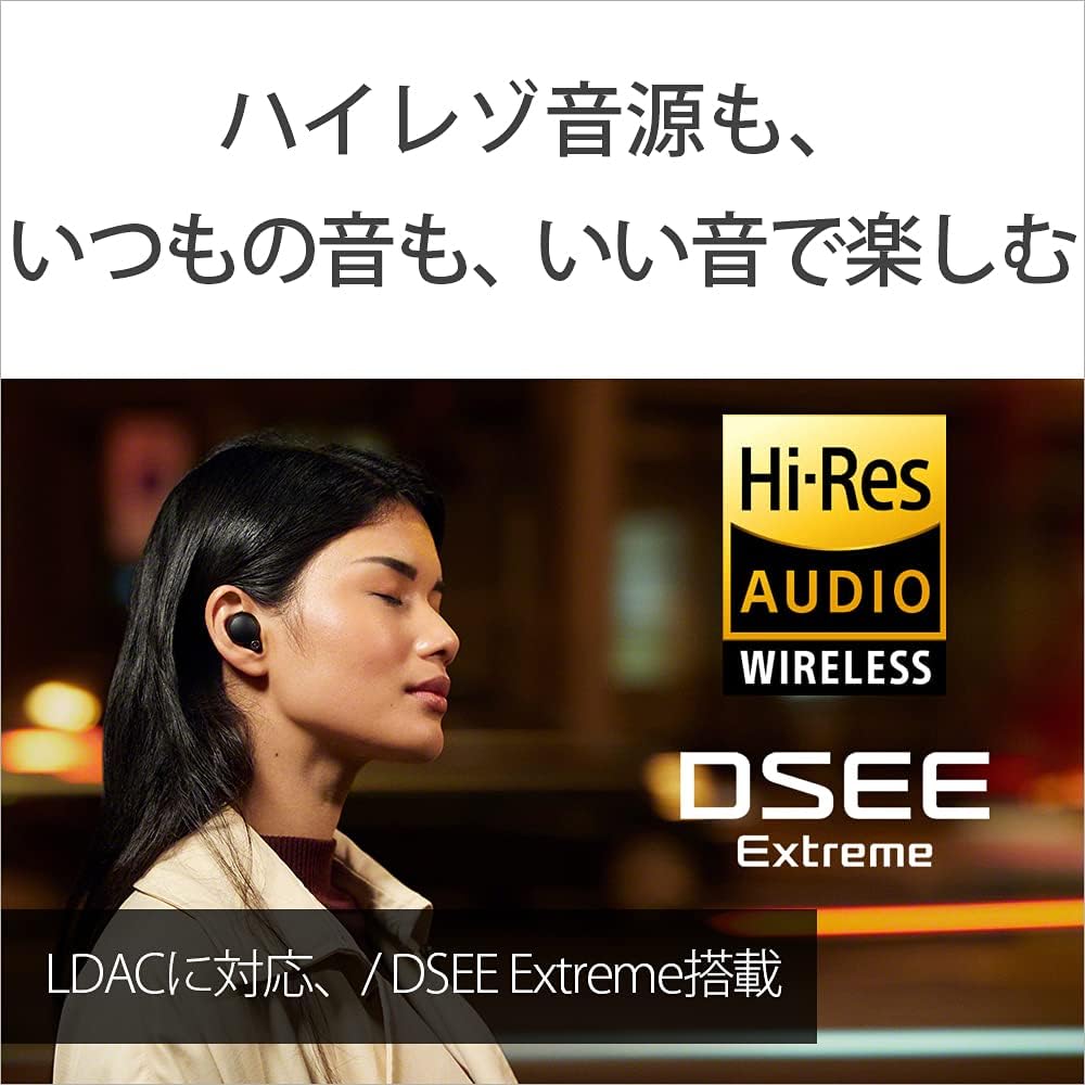Black/Copper Truly Wireless Noise Cancelling Headphone U669