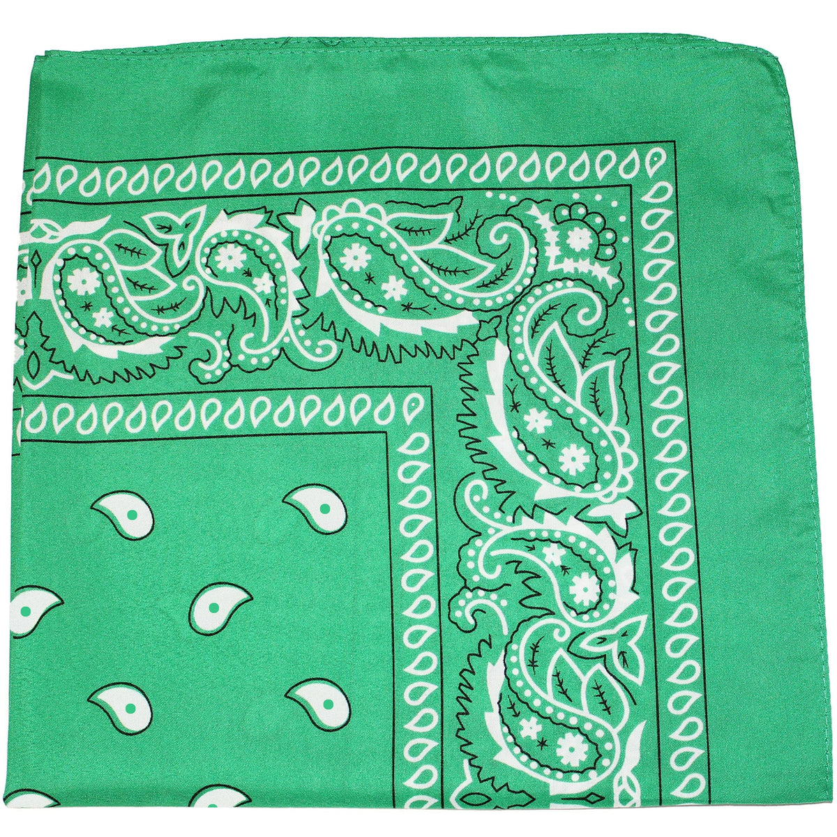 240 Pack 100% Cotton Double Sided Paisley Bandanas F909457
