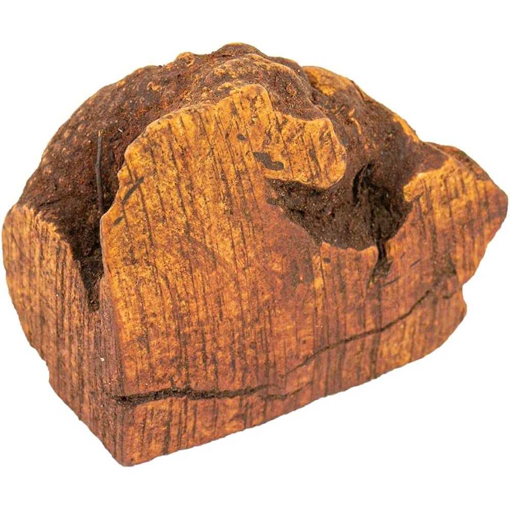 Chew Root for Dogs C315380