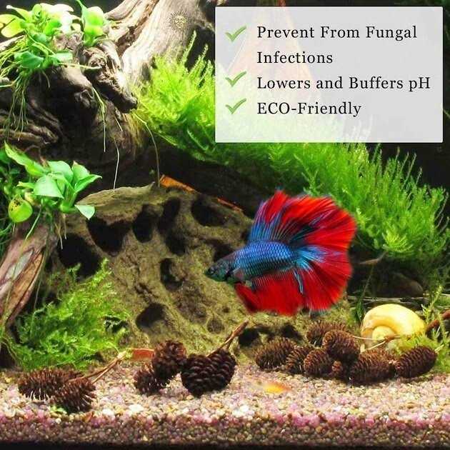 Alder Cones Aquarium Water Conditioner & Food V610861