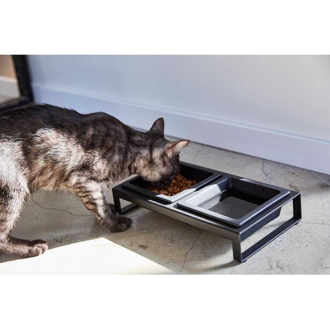 Pet Food Bowl O836940