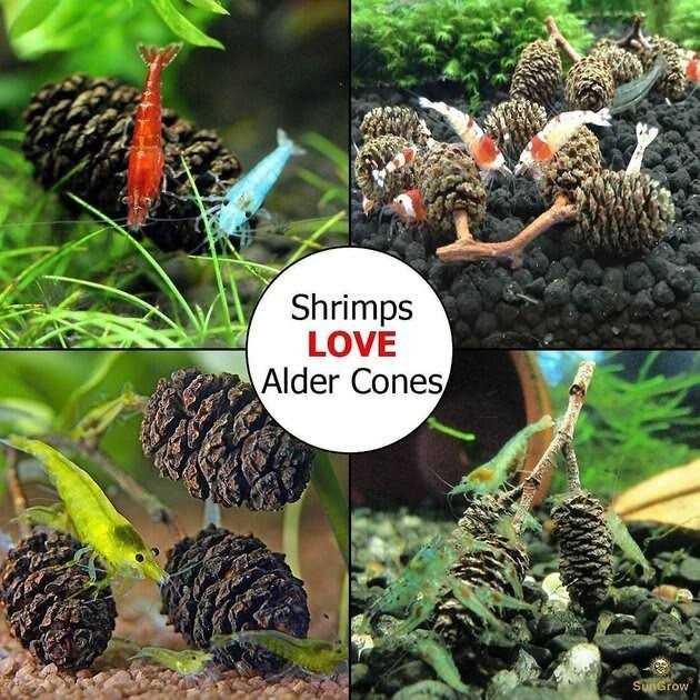 Alder Cones Aquarium Water Conditioner & Food V610861