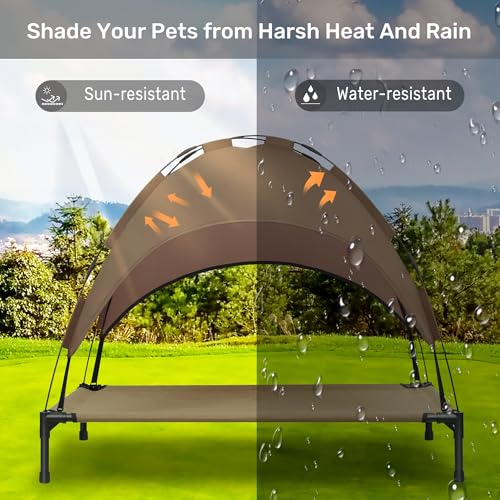 Elevated Dog Bed with Canopy C6828