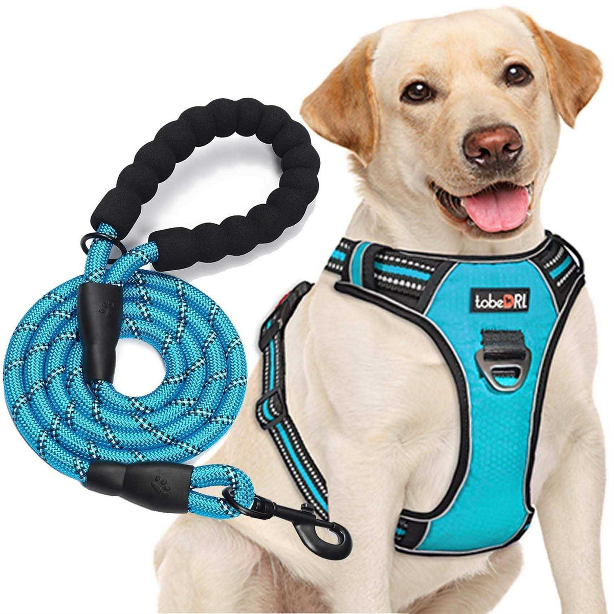 Adjustable Reflective Oxford Dog Harness with 5ft Dog Leash G344