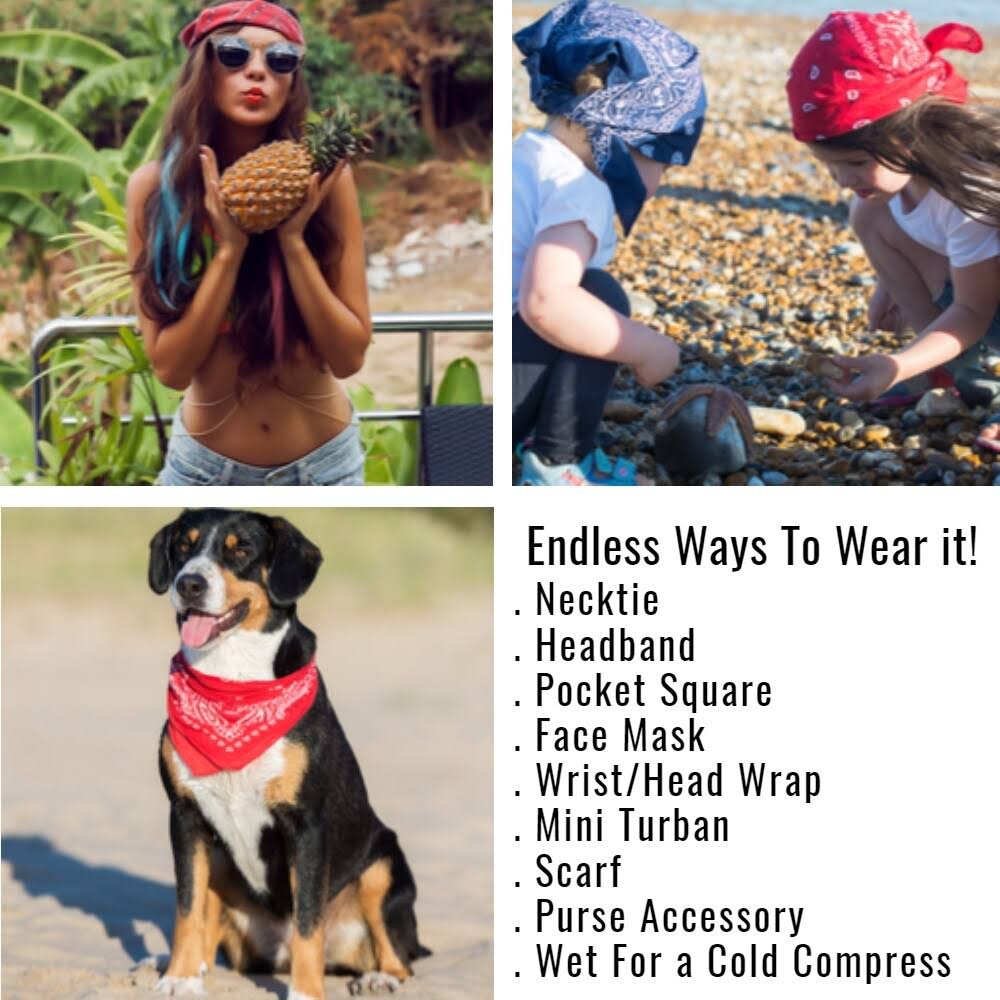 240 Pack 100% Cotton Double Sided Paisley Bandanas F909457