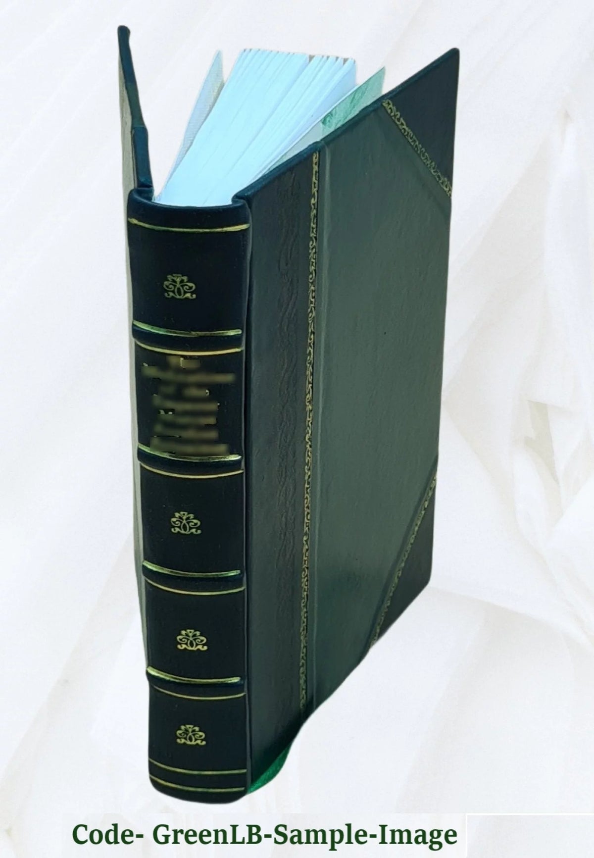Leather Book T296643
