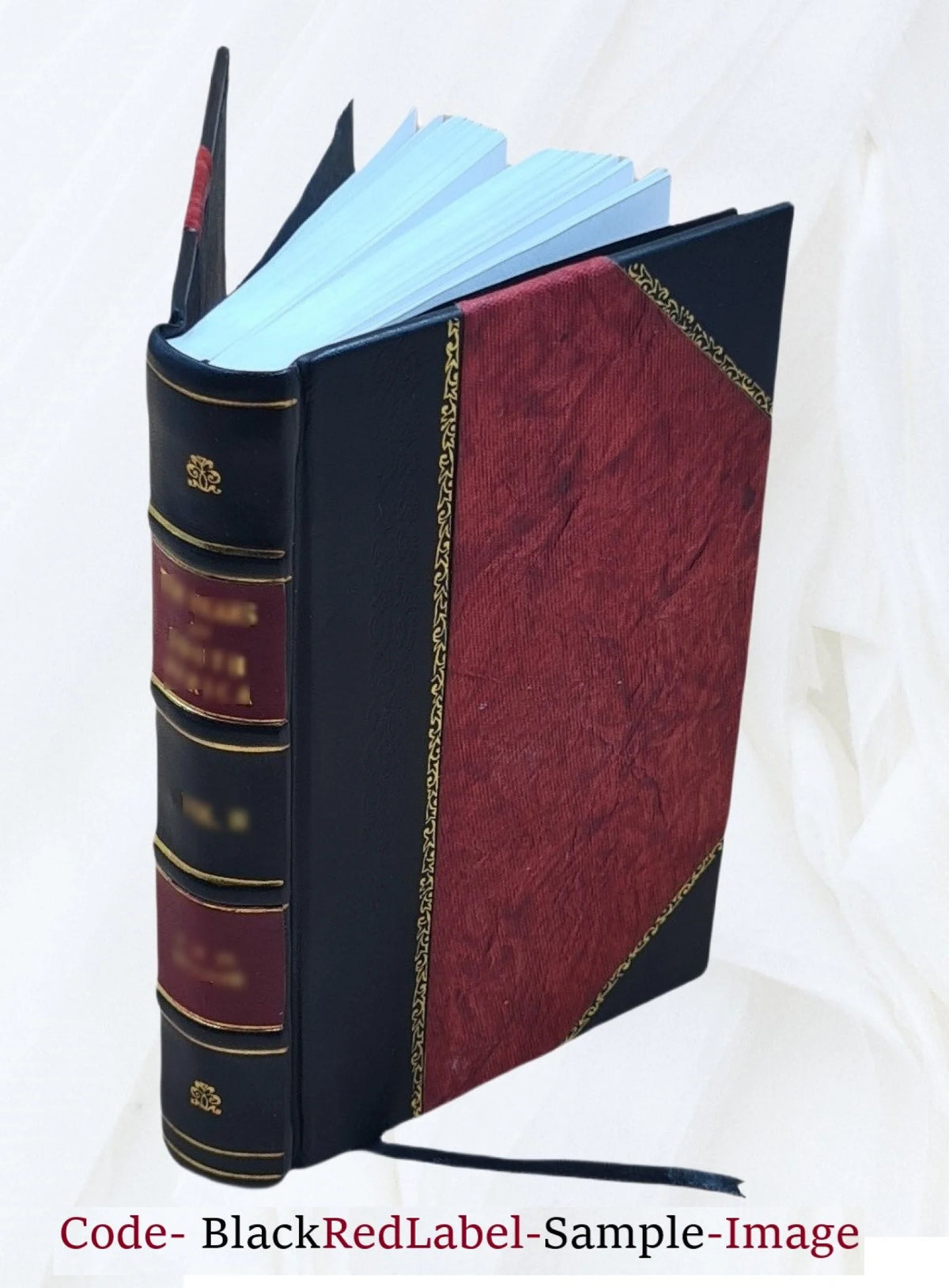 Leather Bound Q39419